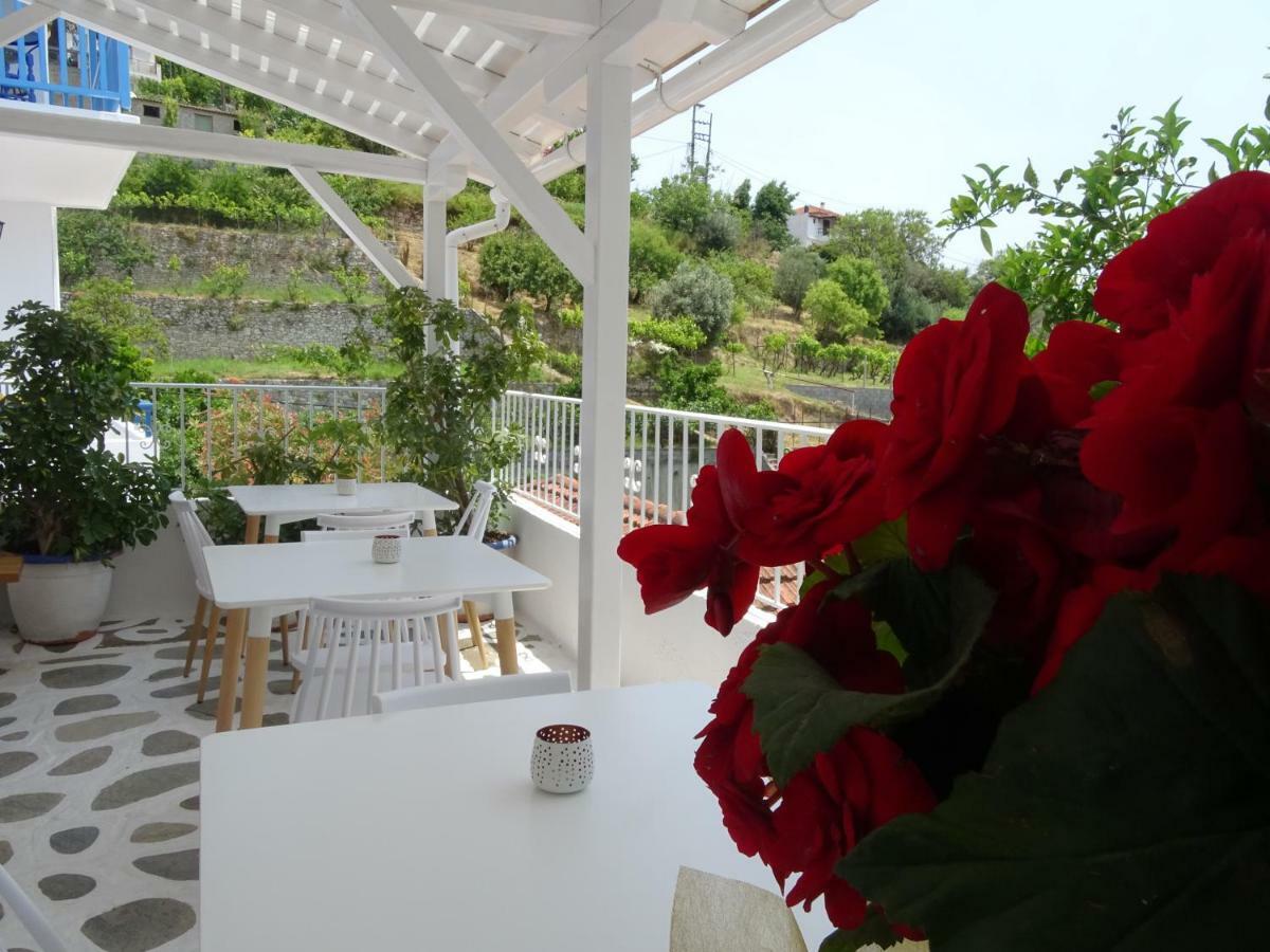 Galini Hellenic Hospitality Aparthotel Patitíri Kültér fotó